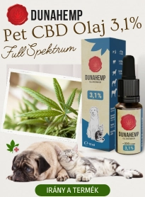 CBD olaj kutyusoknak és cicusoknak