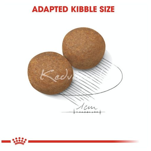 Royal Canin Maxi Adult 15kg száraz kutyatáp