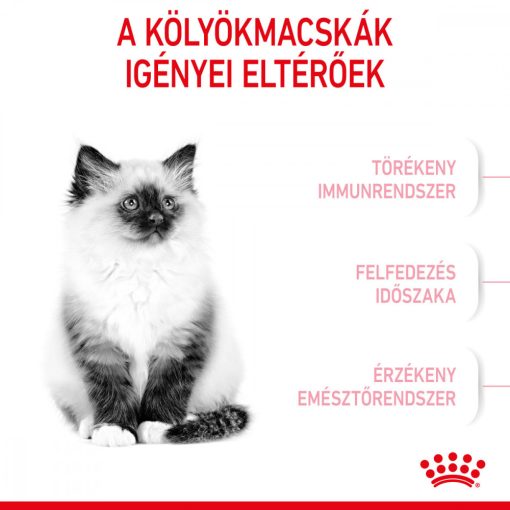 Royal Canin FHN Kitten 0,4kg száraz macskaeledel