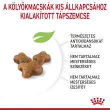 Royal Canin FHN Kitten 0,4kg száraz macskaeledel