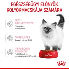 Royal Canin FHN Kitten 0,4kg száraz macskaeledel
