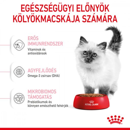 Royal Canin FHN Kitten 0,4kg száraz macskaeledel