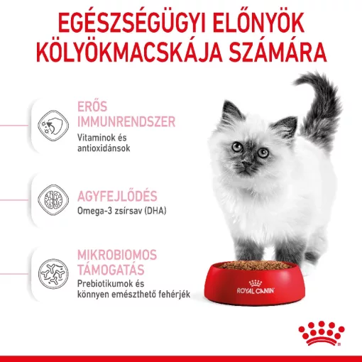 Royal Canin FHN KITTEN 2kg száraz macskaeledel