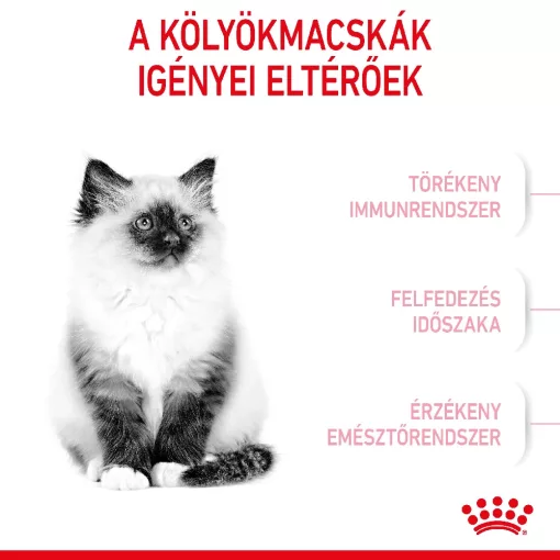 Royal Canin FHN KITTEN 2kg száraz macskaeledel