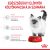 Royal Canin FHN KITTEN 4kg száraz macskaeledel