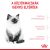 Royal Canin FHN KITTEN 4kg száraz macskaeledel