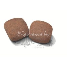 Royal Canin Giant Adult 15kg száraz kutyatáp