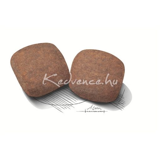 Royal Canin Giant Adult 15kg száraz kutyatáp