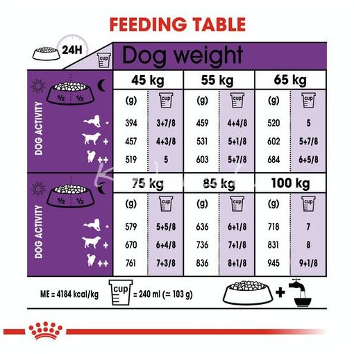 Royal Canin Giant Adult 15kg száraz kutyatáp