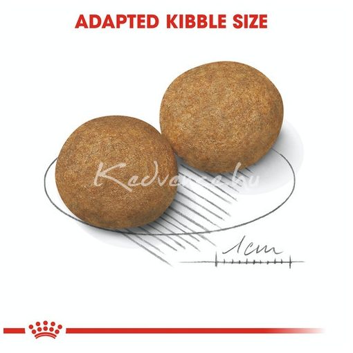 Royal Canin Medium Adult 15+3kg száraz kutyatáp