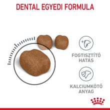 Royal Canin Dental Care 0,4kg száraz macskaeledel