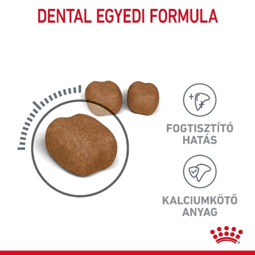 Royal Canin Dental Care 0,4kg száraz macskaeledel