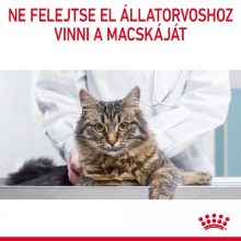 Royal Canin Dental Care 0,4kg száraz macskaeledel