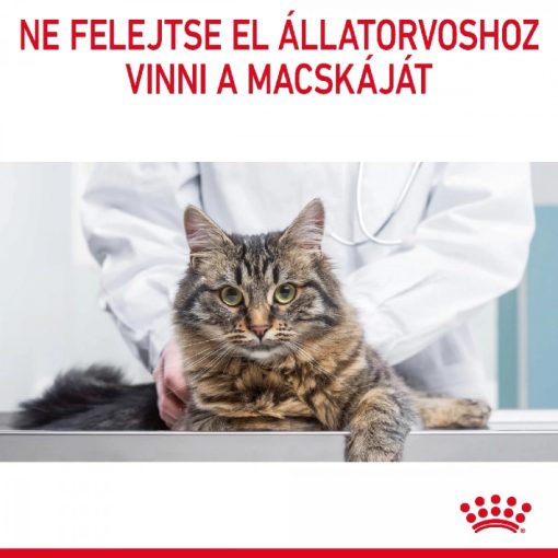 Royal Canin Dental Care 1,5kg száraz macskaeledel