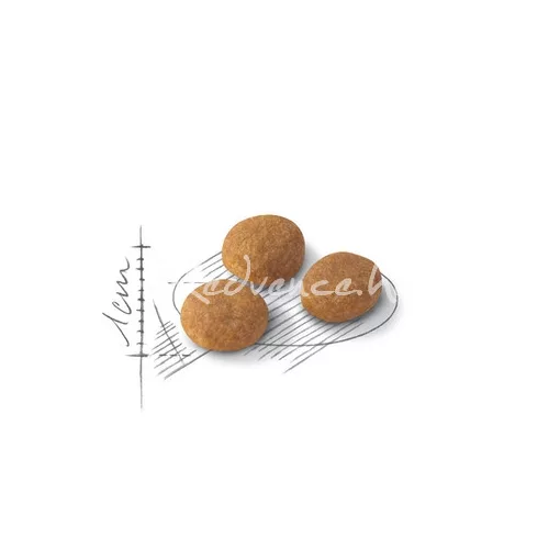Royal Canin Aroma Exigent 0,4kg száraz macskatáp