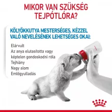 Royal Canin 1st Age Milk 2kg kutya tejpótló tápszer