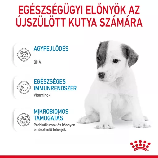 Royal Canin 1st Age Milk 2kg kutya tejpótló tápszer