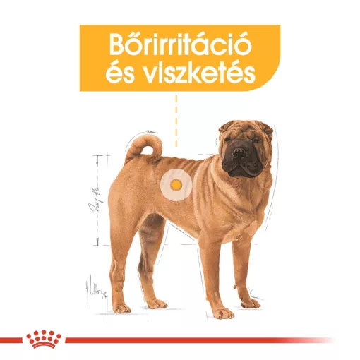 Royal Canin Medium Dermacomfort 3kg száraz kutyatáp