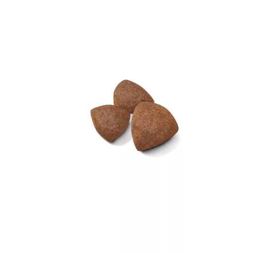 Royal Canin Medium Starter Mother&Babydog 4kg száraz kutyatáp