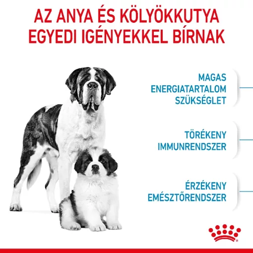 Royal Canin Giant Starter Mother&Babydog 15kg száraz kutyatáp