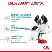 Royal Canin Giant Starter Mother&Babydog 15kg száraz kutyatáp