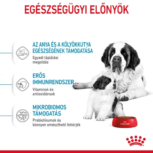 Royal Canin Giant Starter Mother&Babydog 15kg száraz kutyatáp