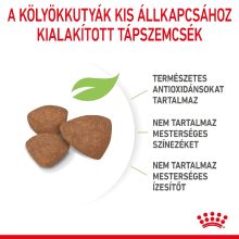 Royal Canin Mini Puppy 2kg száraz kutyatáp