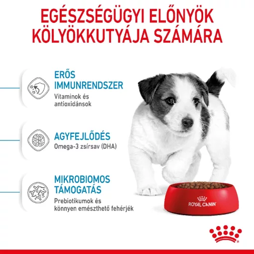 Royal Canin Mini Puppy 8kg száraz kutyatáp