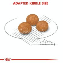 Royal Canin X-SMALL ADULT 1,5kg száraz kutyatáp