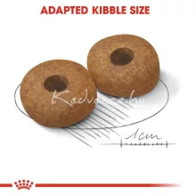 Royal Canin Medium Adult 10+ 15kg száraz kutyatáp