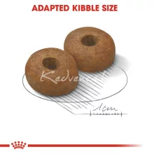 Royal Canin Maxi Adult8+ 15kg száraz kutyatáp