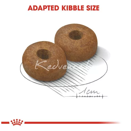 Royal Canin Maxi Adult8+ 15kg száraz kutyatáp