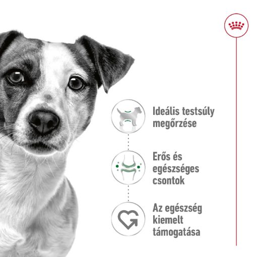 Royal Canin Mini Adult 8kg+1kg száraz kutyatáp