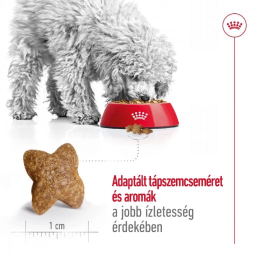 Royal Canin Mini Adult 8kg+1kg száraz kutyatáp