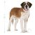 Royal Canin Giant Junior 15kg száraz kutyatáp