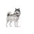 Royal Canin MAXI JOINT CARE 10kg száraz kutyatáp