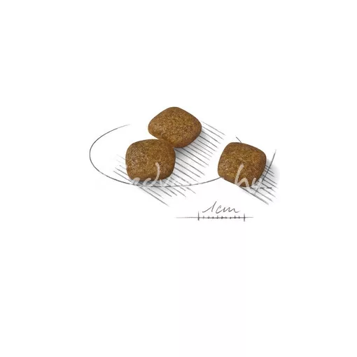 Royal Canin MINI URINARY CARE 1kg száraz kutyatáp