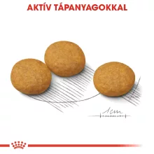 Royal Canin Medium Dermacomfort 12kg száraz kutyatáp