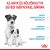 Royal Canin Mini Starter Mother&Babydog 4kg kutyatáp