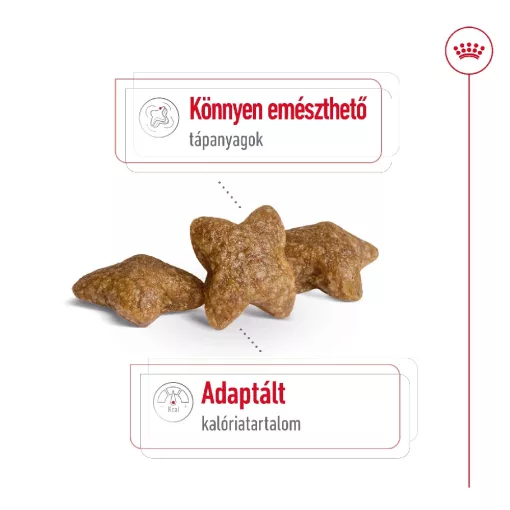 Royal Canin Mini Adult 0,8kg száraz kutyatáp