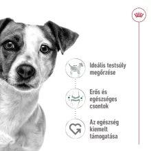 Royal Canin Mini Adult 0,8kg száraz kutyatáp