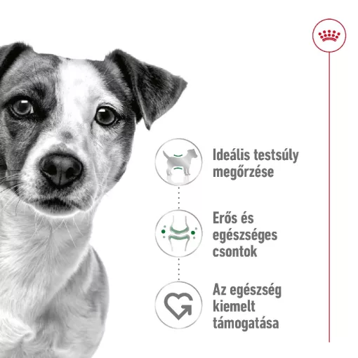 Royal Canin Mini Adult 4kg száraz kutyatáp