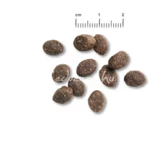 Belcando Puppy GF 40% friss hússal 12,5kg száraz kutyatáp