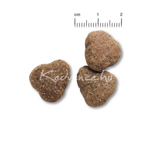 Belcando Adult GF 40% baromfi friss hússal 1kg kutyatáp