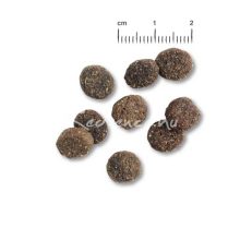 Belcando Finest GF 40% friss bárányhússal 12,5kg kutyatáp