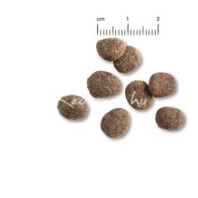 Belcando Finest GF Senior 40% friss hússal 1kg kutyatáp