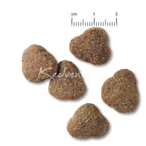 Belcando Junior Bárány és Rizs friss hússal 1kg kutyatáp