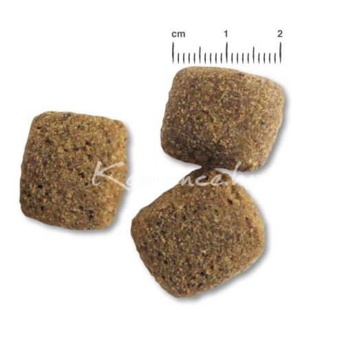 Belcando Adult Dinner friss hússal 1kg száraz kutyatáp