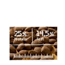 Belcando Adult Active friss hússal 4kg száraz kutyatáp
