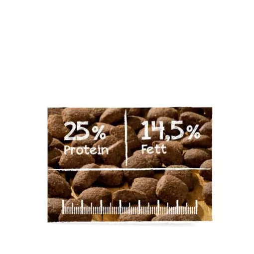 Belcando Adult Active friss hússal 4kg száraz kutyatáp